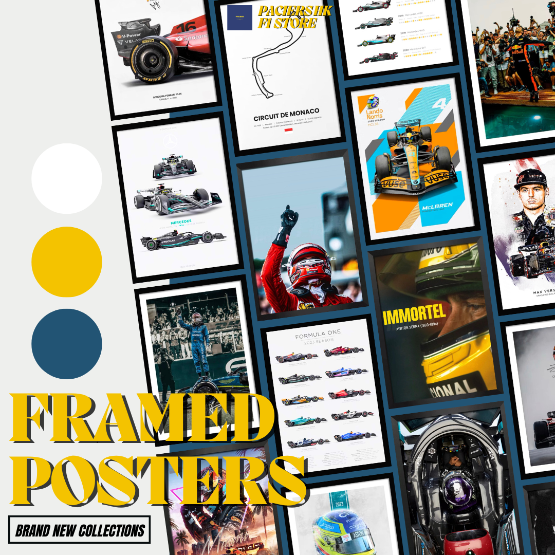 Framed Posters 掛畫