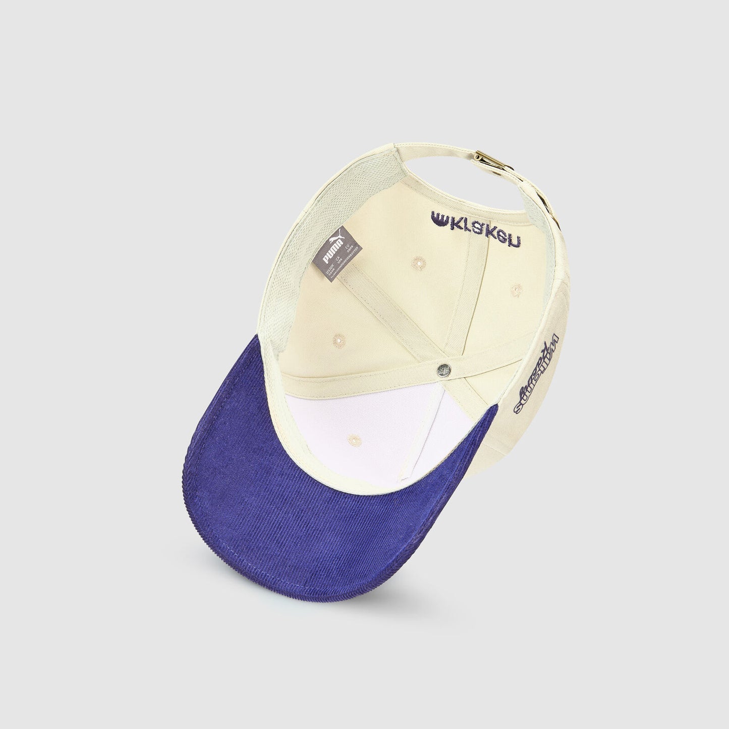 [Pre-Order] Williams Racing 2024 British GP Cap